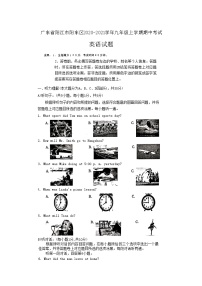 广东省阳江市阳东区2020-2021学年九年级上学期期中考试英语试题