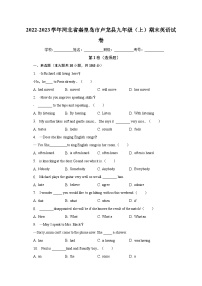 2022-2023学年河北省秦皇岛市卢龙县九年级（上）期末英语试卷（含解析）