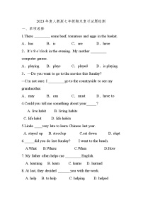 期末复习试题检测2022-2023学年人教版七年级英语下册