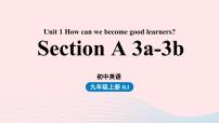 英语九年级全册Unit 1 How can we become good learners.Section A教案配套ppt课件