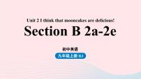 初中英语人教新目标 (Go for it) 版九年级全册Section B背景图课件ppt