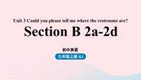 人教新目标 (Go for it) 版九年级全册Section B集体备课ppt课件