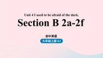 九年级全册Section B图片ppt课件