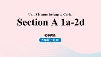 人教新目标 (Go for it) 版九年级全册Section A授课ppt课件