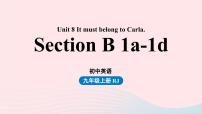 初中英语人教新目标 (Go for it) 版九年级全册Section B示范课ppt课件