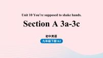 初中Section A教学课件ppt