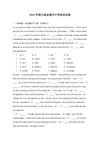 2023年四川省宜宾市中考英语试卷（含解析）