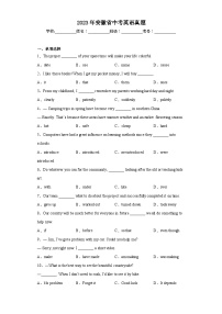 2023年安徽省中考英语真题（含解析）