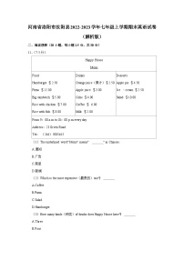 河南省洛阳市汝阳县2022-2023学年七年级上学期期末英语试卷（含答案）