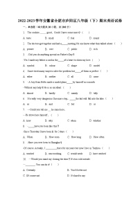 2022-2023学年安徽省合肥市庐阳区八年级（下）期末英语试卷（含解析）