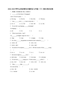 2022-2023学年山东省青岛市城阳区七年级（下）期末英语试卷（含解析）