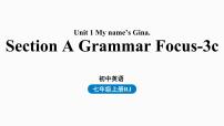 人教新目标七年级英语上册--Unit1第二课时（Section A Grammar Focus-3c）（精品课件）