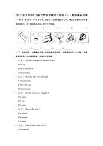 广西南宁市西乡塘区2022-2023学年八年级下学期期末英语试卷（含答案）