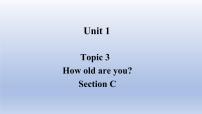 初中英语仁爱科普版七年级上册Topic 3 How old are you?教课课件ppt