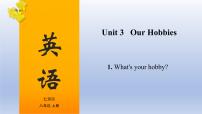 英语八年级上册Topic 1 What's your hobby?复习ppt课件