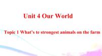 初中英语仁爱科普版八年级上册Topic 1 What's the strongest animal on the farm?示范课ppt课件