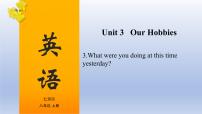 初中英语仁爱科普版八年级上册Topic 3 What were you doing at this time yesterday?复习ppt课件