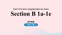 初中人教新目标 (Go for it) 版Section B优秀课件ppt