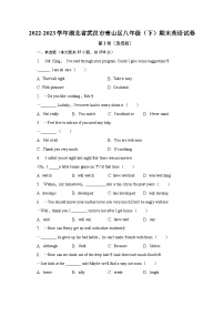 湖北省武汉市青山区2022-2023学年八年级（下学期）期末英语试卷（含答案）