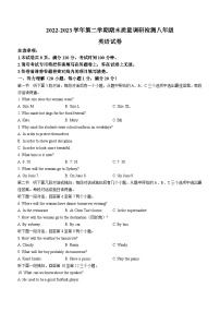 河南省洛阳市伊川县2022-2023学年八年级下学期期末英语试题