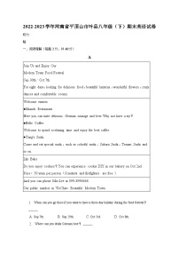 河南省平顶山市叶县2022-2023学年八年级下学期期末英语试卷（含答案）