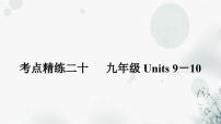 人教版中考英语复习考点精练二十九年级Units9－10课件