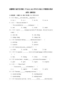 新疆喀什地区岳普湖县第二中学2022-2023学年九年级上学期期末英语试卷（含答案）