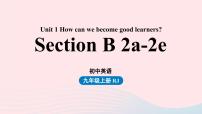 人教新目标 (Go for it) 版九年级全册Section B公开课ppt课件