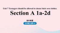 初中英语人教新目标 (Go for it) 版九年级全册Unit 7 Teenagers should be allowed to choose their own clothes.Section A