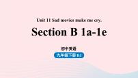 人教新目标 (Go for it) 版九年级全册Unit 11 Sad movies make me cry.Section B优秀ppt课件