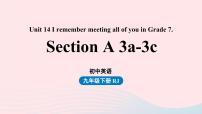 初中英语人教新目标 (Go for it) 版九年级全册Unit 14 I remember meeting all of you in Grade 7.Section A优质课件ppt