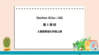 人教新目标 (Go for it) 版Section A获奖课件ppt
