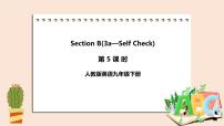 初中英语人教新目标 (Go for it) 版九年级全册Section B获奖ppt课件