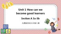 人教新目标 (Go for it) 版九年级全册Unit 1 How can we become good learners.Section A精品课件ppt