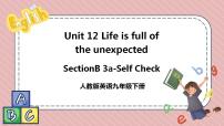 初中英语人教新目标 (Go for it) 版九年级全册Unit 13 We’re trying to save the earth!Section B获奖课件ppt