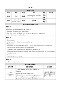 初中英语人教新目标 (Go for it) 版九年级全册Section B公开课教案