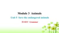 初中英语沪教牛津版(六三制)八年级下册Unit 5 Save the endangered animals作业课件ppt