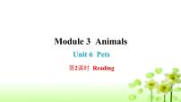 沪教牛津版(六三制)八年级下册Module3 AnimalsUnit 6 Pets作业ppt课件