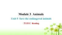 初中英语沪教牛津版(六三制)八年级下册Unit 5 Save the endangered animals教学课件ppt