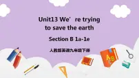 初中英语人教新目标 (Go for it) 版九年级全册Section B精品ppt课件