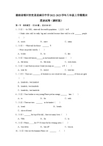 湖南省郴州市宜章县麻田中学2022-2023学年八年级上学期期末英语试卷