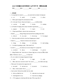 2023年安徽省合肥市第四十五中学中考一模英语试题（含解析）