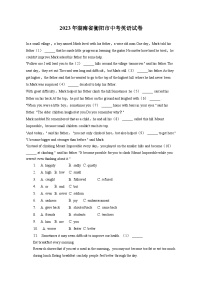 2023年湖南省衡阳市中考英语试卷（含答案解析）