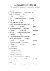 2023年湖南省岳阳市中考三模英语试题（含解析）