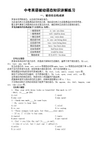 初中英语2024届中考复习被动语态知识讲解练习