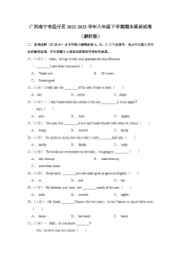 广西南宁市经开区2022-2023学年八年级下学期期末英语试卷（含答案）