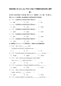 海南省海口市2022-2023学年八年级下学期期末英语试卷（含答案）