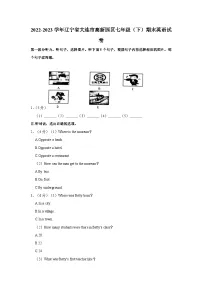辽宁省大连市高新园区2022-2023学年七年级(下学期)期末英语试卷(含答案)