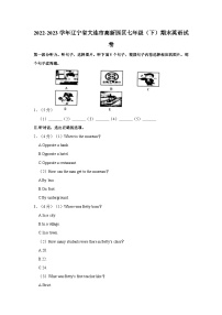 辽宁省大连市高新园区2022-2023学年七年级（下学期）期末英语试卷（含答案）