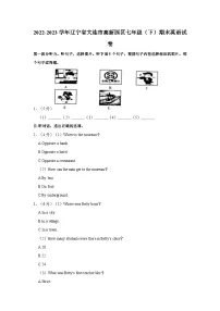 辽宁省大连市高新园区2022-2023学年七年级(下学期)期末英语试卷(含答案)